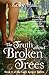 The Truth about Broken Trees (Light Keeper, #3)