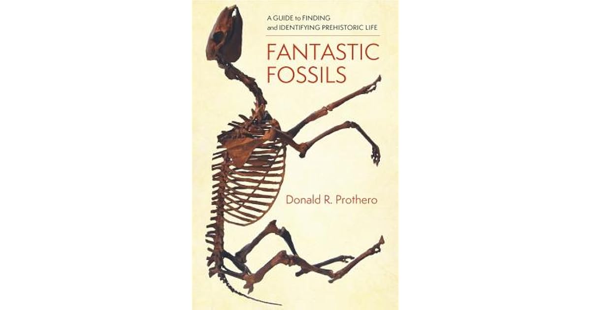 Fantastic Fossils A Guide to Finding and Identifying Prehistoric Life