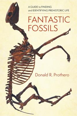 Fantastic Fossils: A Guide to Finding and Identifying Prehistoric Life (Hardcover)