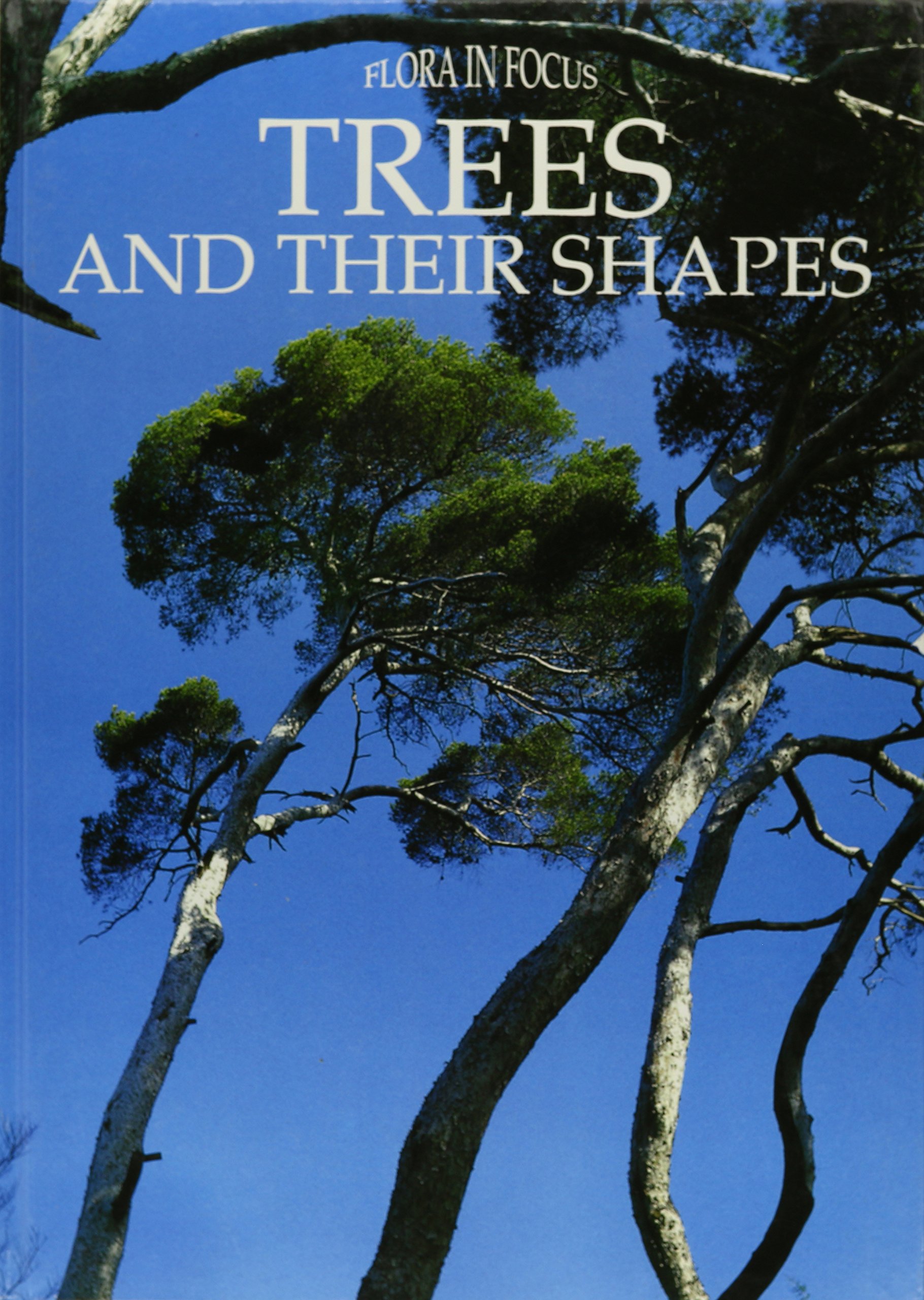 Trees and Their Shapes