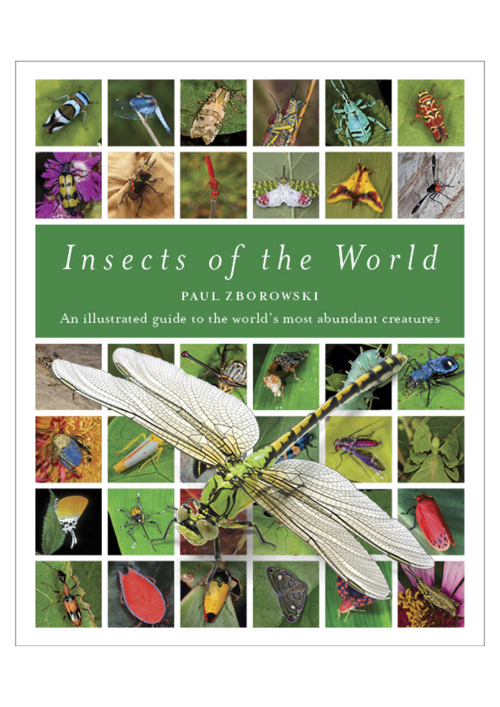 Insects of the World: An Illustrated Guide to the World's Most Abundant Creatures (Hardcover)