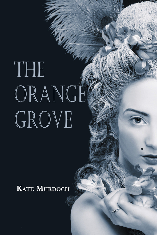 The Orange Grove (Paperback)