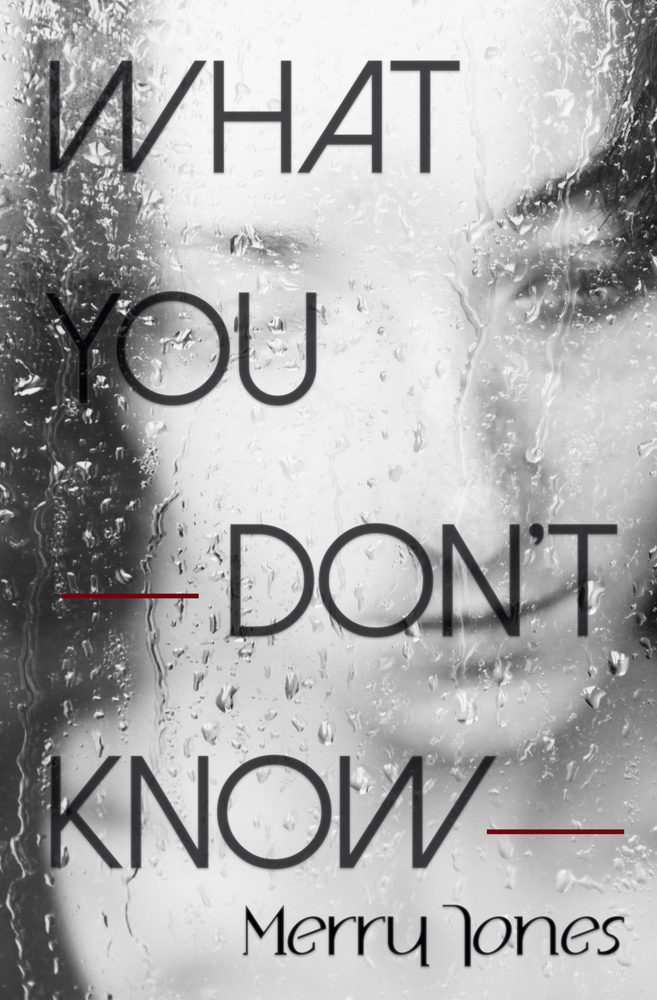 What You Don't Know (Paperback)