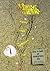 Work Ways, Seven Stars to Steer By-How to Build an Enterprisi... by Kees Locher