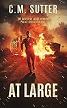 At Large (Detective Jesse McCord #2)