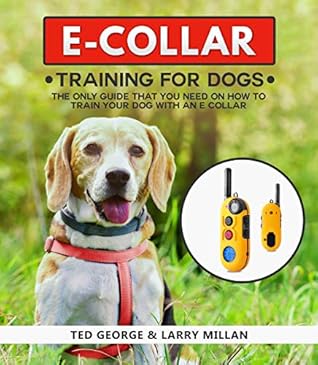 remote collar training guide
