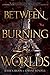 Between Burning Worlds (System Divine Book 2)