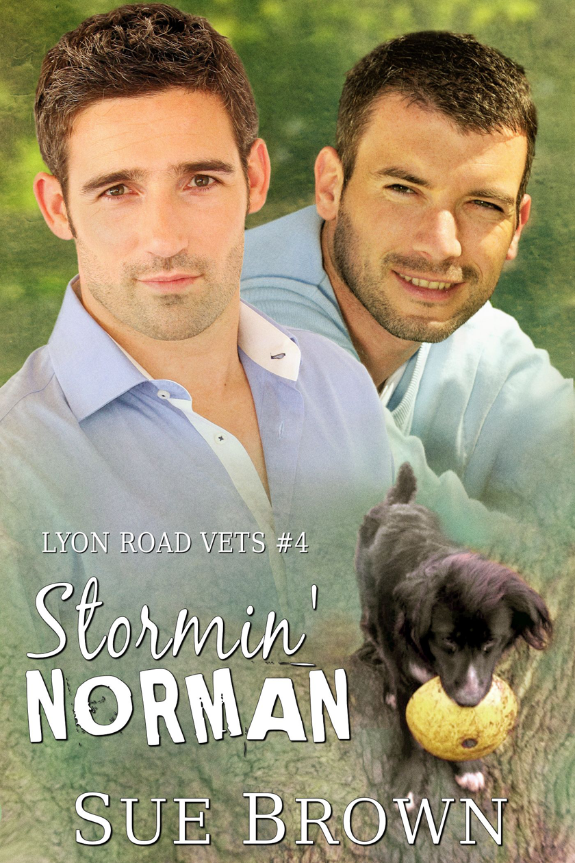 Stormin' Norman (ebook)