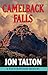 Camelback Falls (David Mapstone Mysteries Book 2)