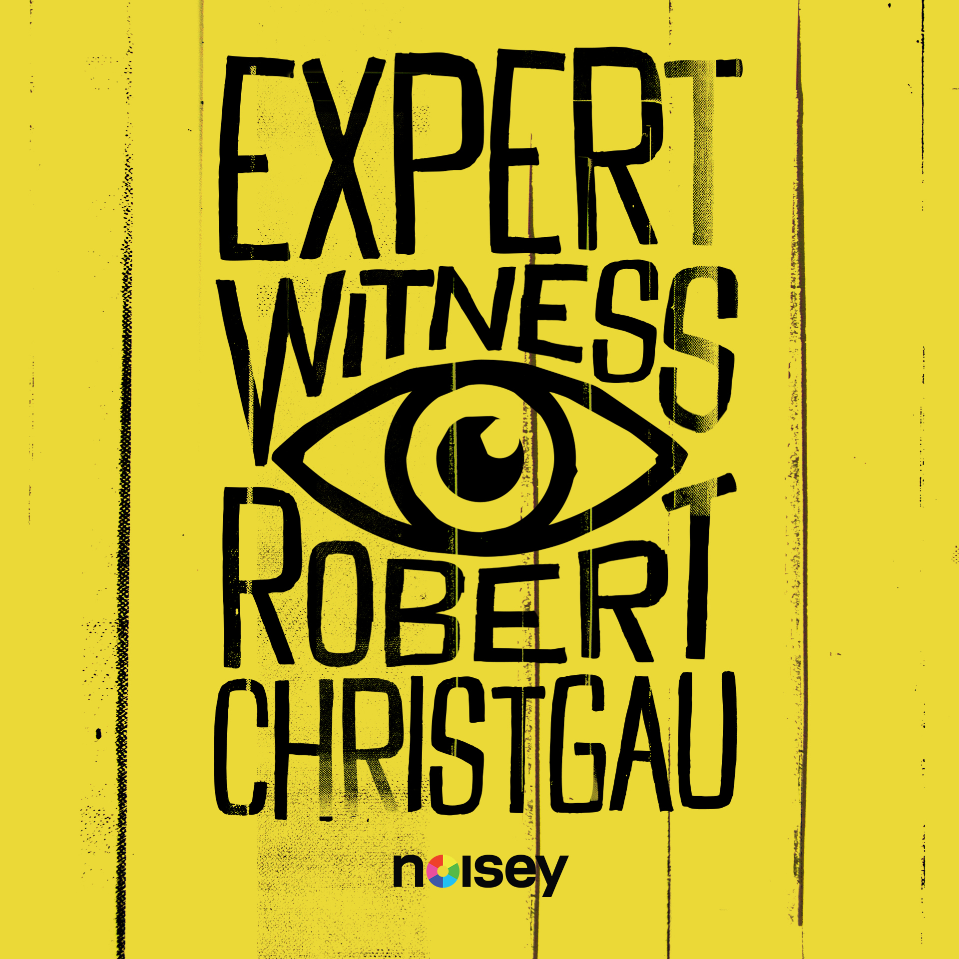 Expert Witness, 2010-2013