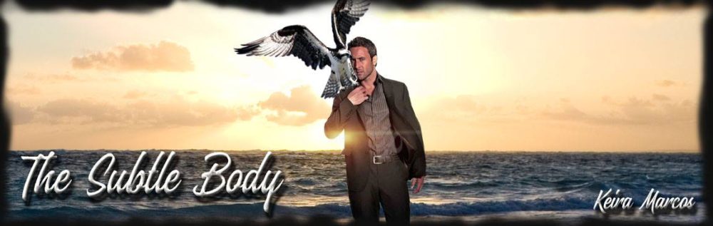 The Subtle Body (Online Fanfiction)