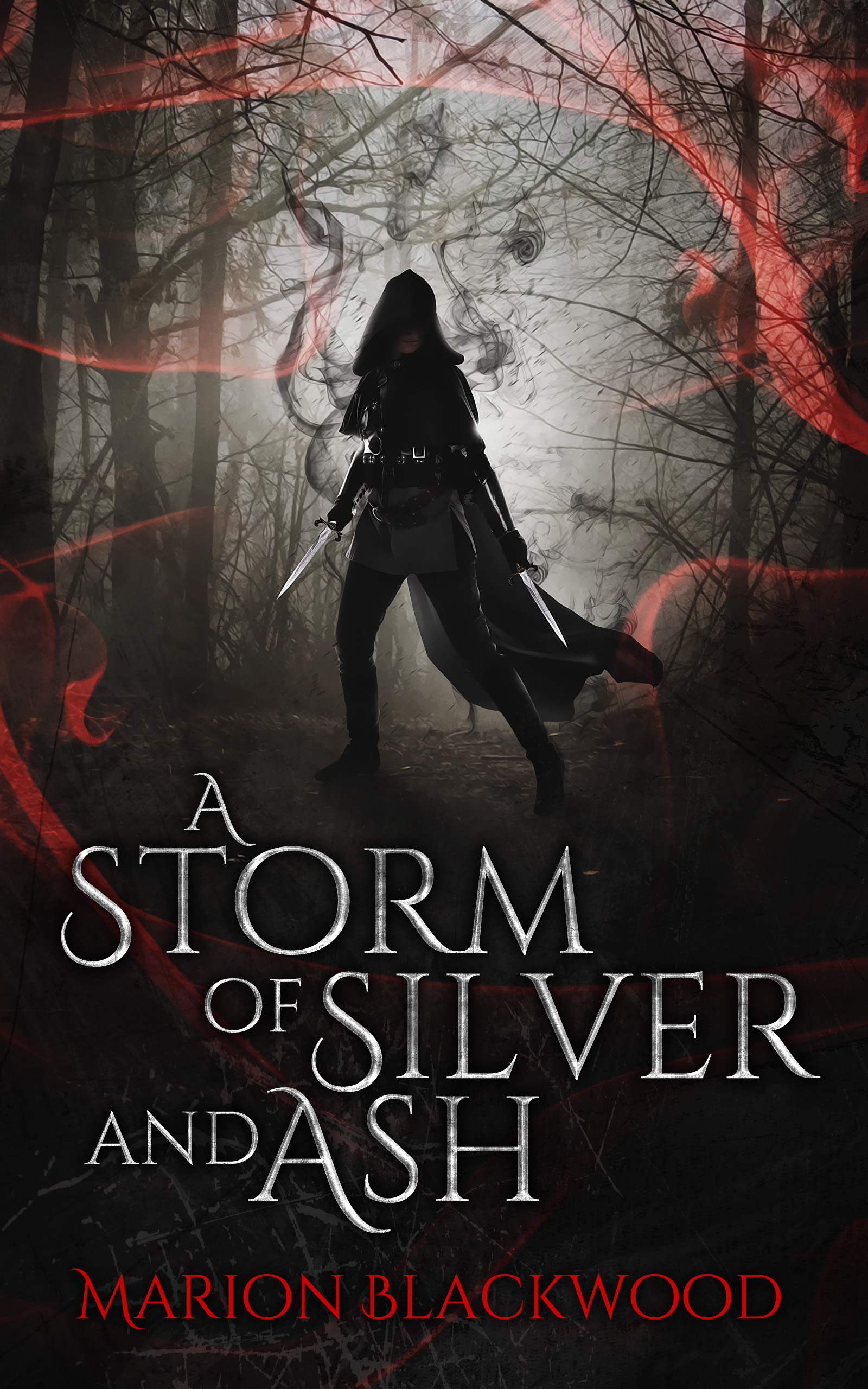 A Storm of Silver and Ash (The Oncoming Storm, #1)