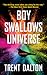 Boy Swallows Universe
