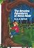 The Amazing Adventures of Annie Adair