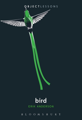 Bird (Paperback)