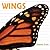Wings (Whose Is It?)