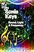The Sonic Keys: Sound, Ligh...