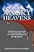 Angry Heavens: Struggles of a Confederate Surgeon