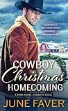 Cowboy Christmas Homecoming (Dark Horse Cowboys, #4)