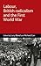 Labour, British radicalism and the First World War by Lucy Bland