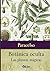 Botánica oculta : las plantas mágicas