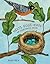 Nests, Eggs, Birds: An Illu...