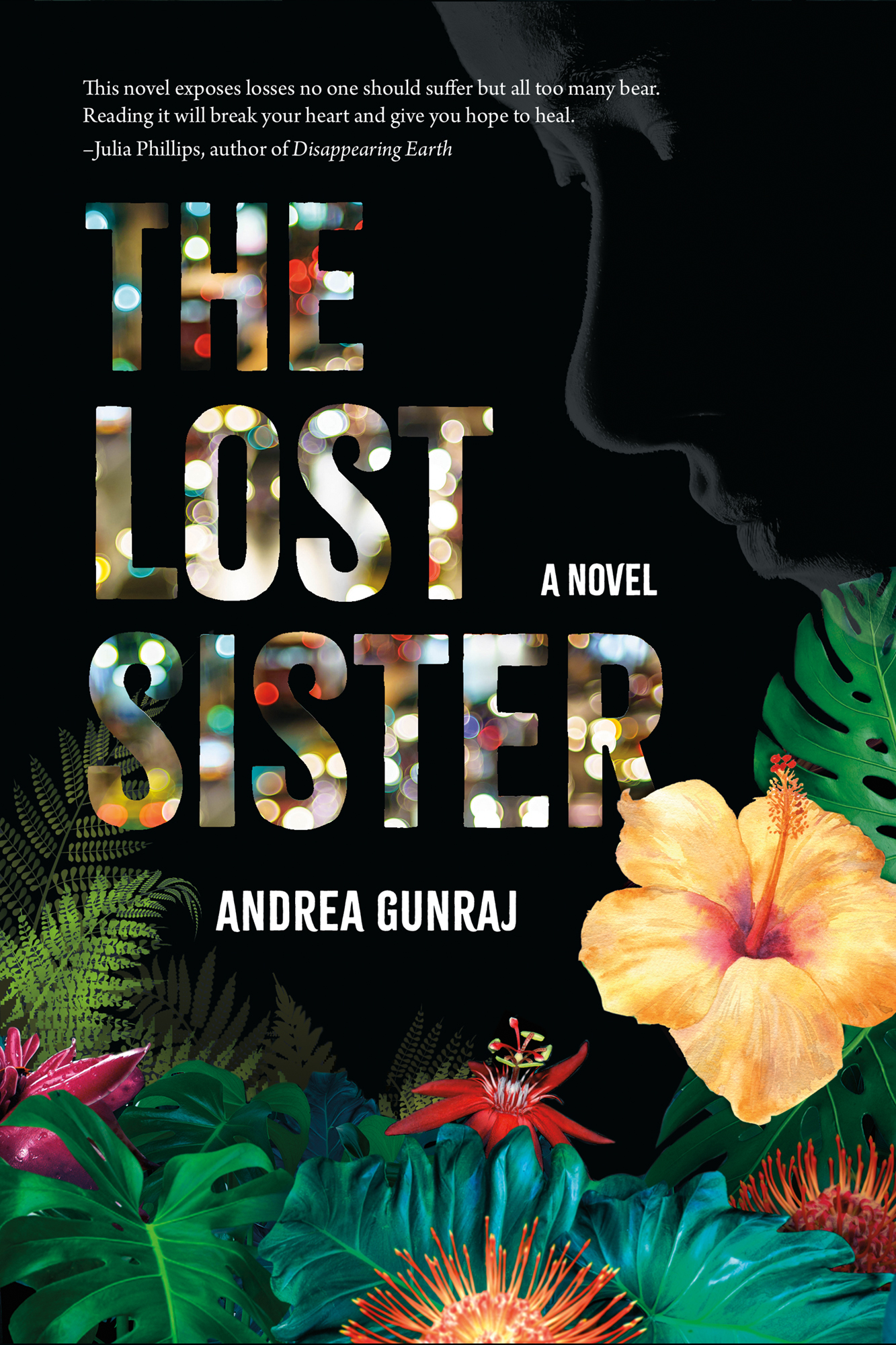 The Lost Sister (Paperback)