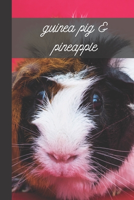 guinea pig pineapple