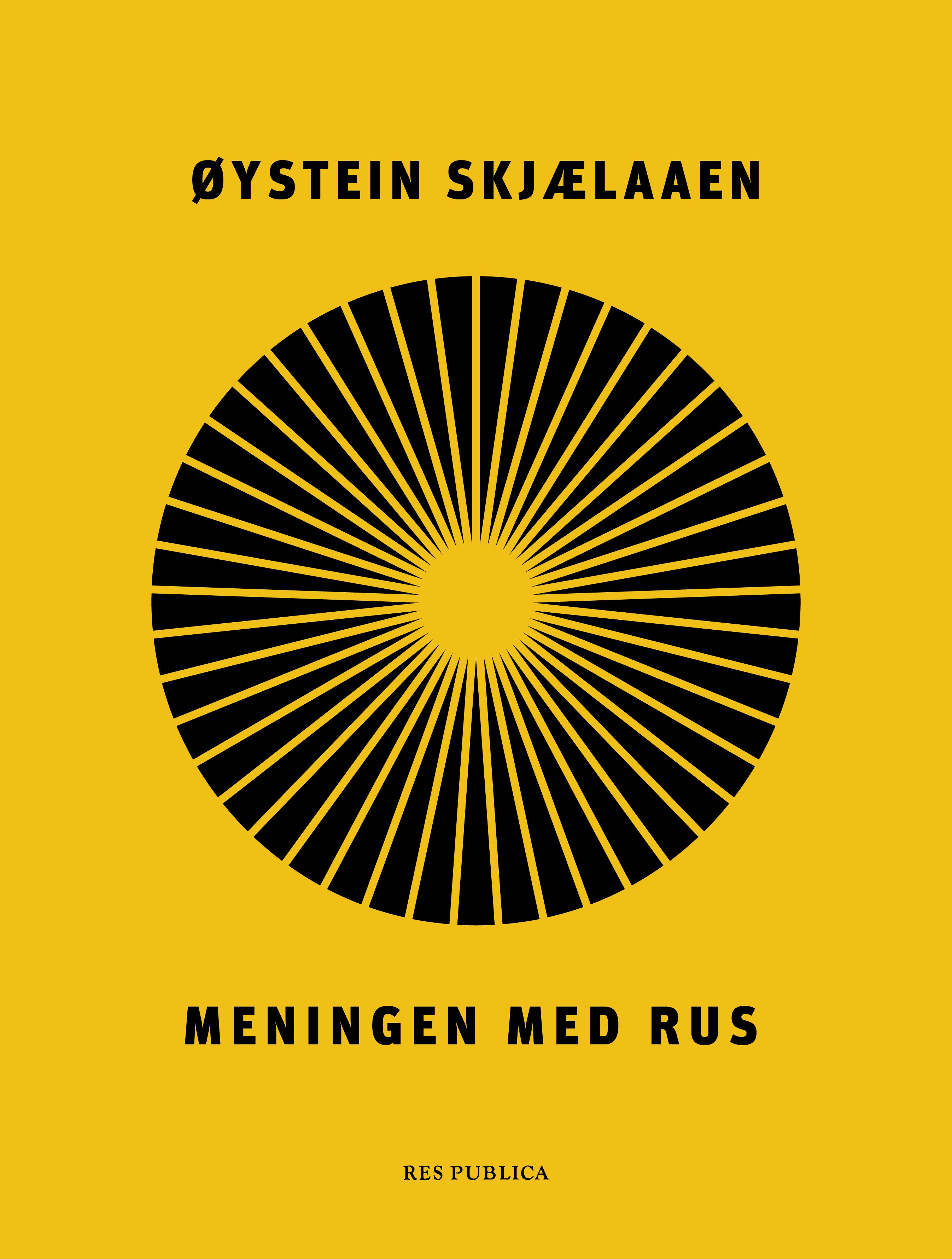 Meningen med rus (Hardcover)