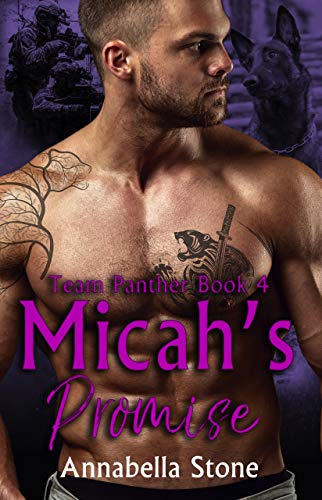 Micah's Promise (Delta Force: Team Panther #4)