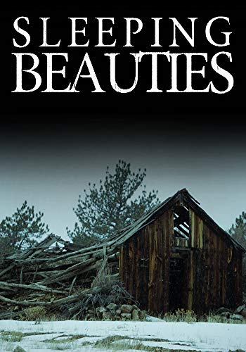 Sleeping Beauties (A Riveting Kidnapping Mystery, #19)