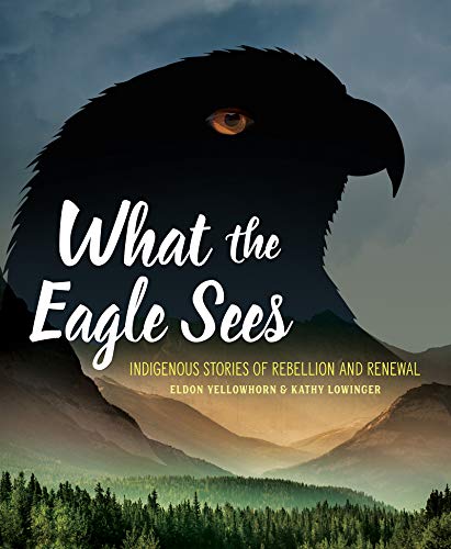 What the Eagle Sees: Indigenous Stories of Rebellion and Renewal (Paperback)