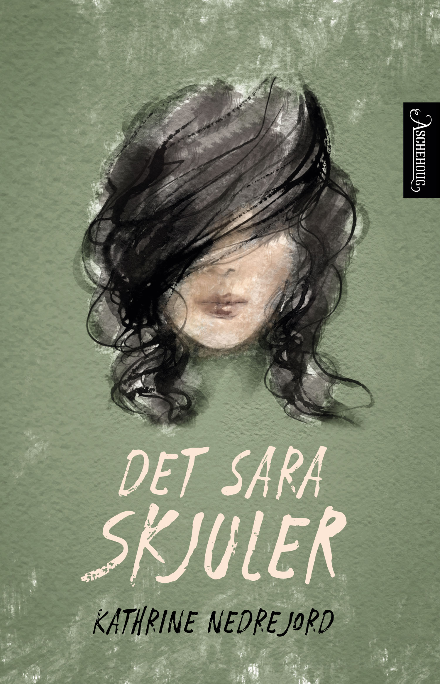 Det Sara skjuler (Hardcover)