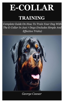 is e collar training effective