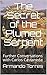 The Secret of the Plumed Serpent: Further Conversations with Carlos Castaneda