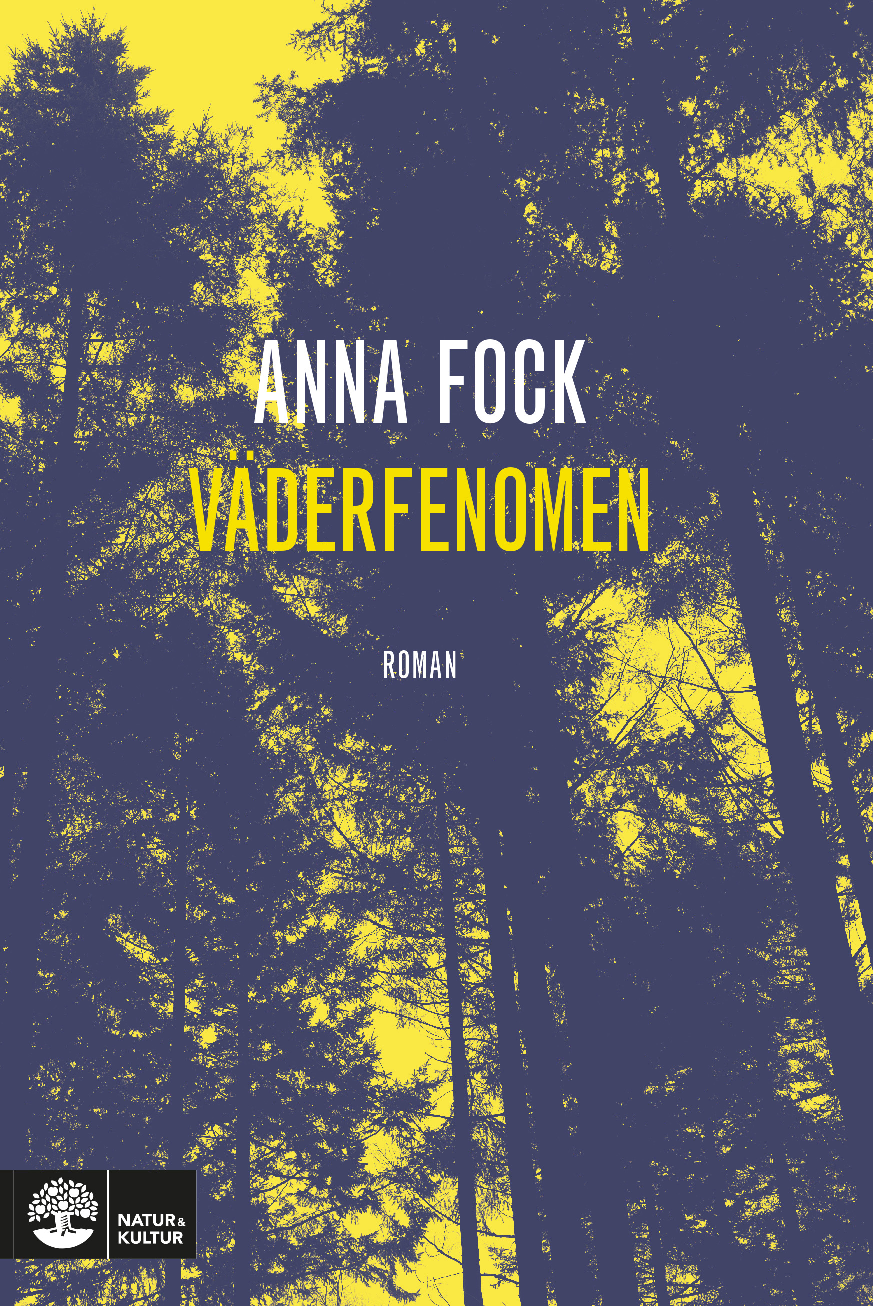 Väderfenomen (Hardcover)