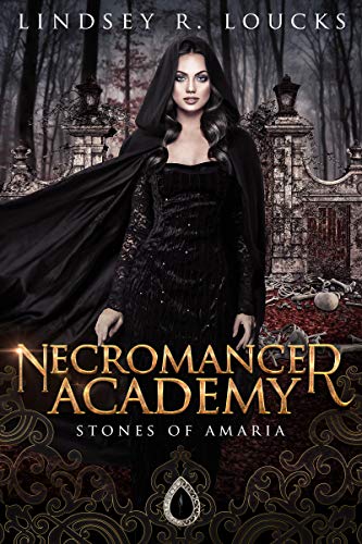 Necromancer Academy (Stones of Amaria, #1)