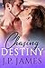 Chasing Destiny (Chasing #2)