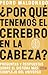 ¿Por qué tenemos el cerebro en la cabeza?