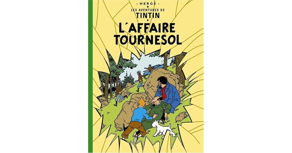 Différents Genres De Tournesols Avec étiquette Dans La Classification
