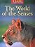 The World of the Senses (Ti...
