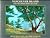 Vancouver Island Sketches Maps and Trip Notes (Including Saltsprings & Quadra Islands)
