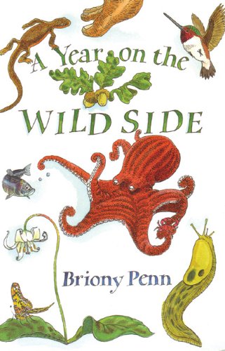 A Year on the Wild Side (Paperback)