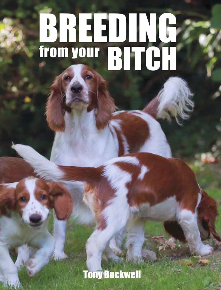 Breeding From Your Bitch (Hardcover)