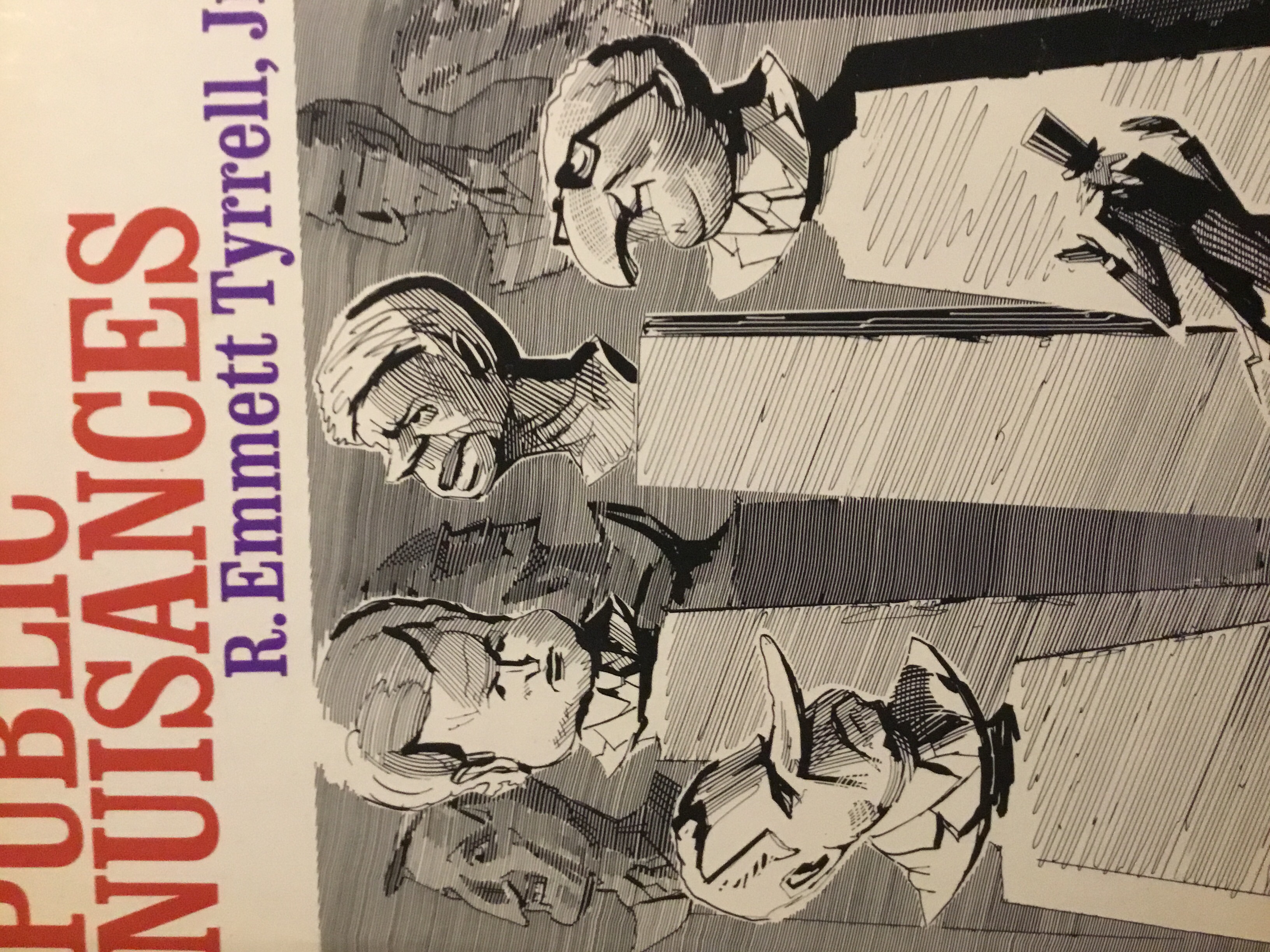 Public nuisances (Hardcover)