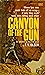 Canyon of the Gun