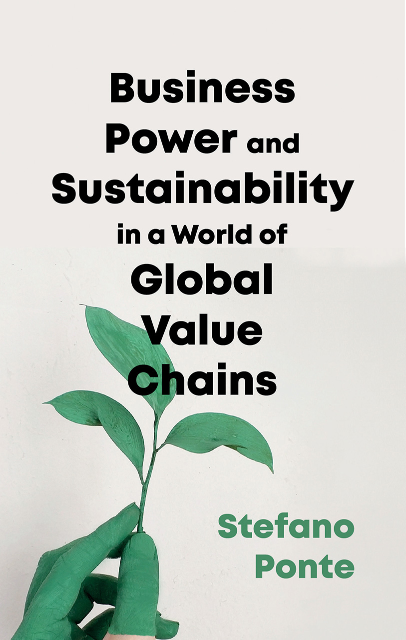 Business, Power and Sustainability in a World of Global Value Chains