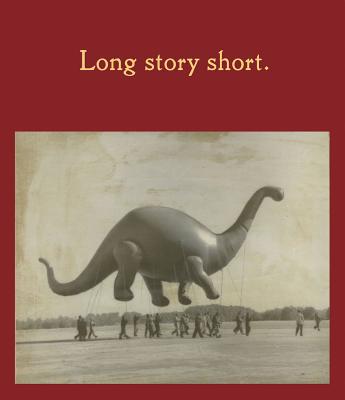 Long Story Short (Hardcover)