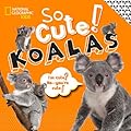 So Cute! Koalas
