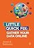 Gather Your Data Online: Little Quick Fix